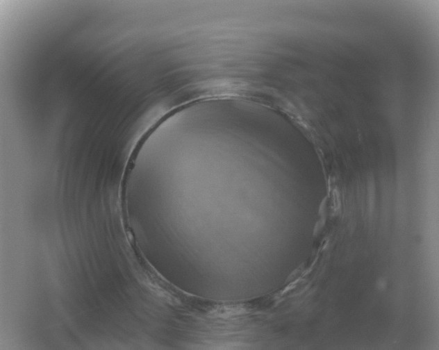 X0000066950099200604071949