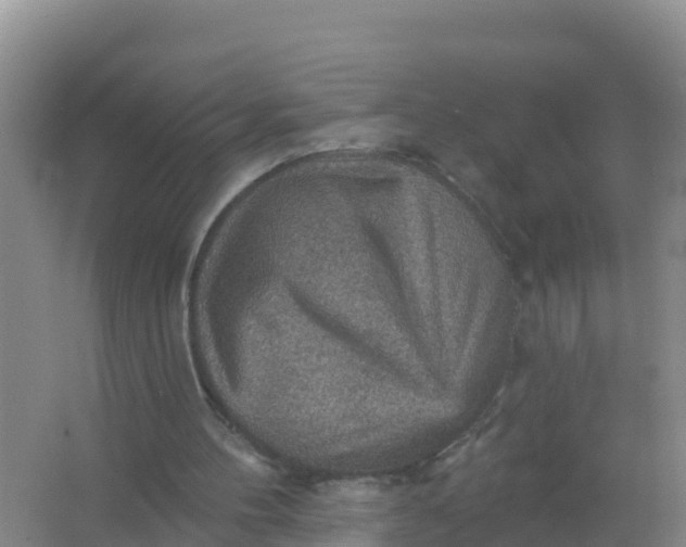 X0000066950100200604071949