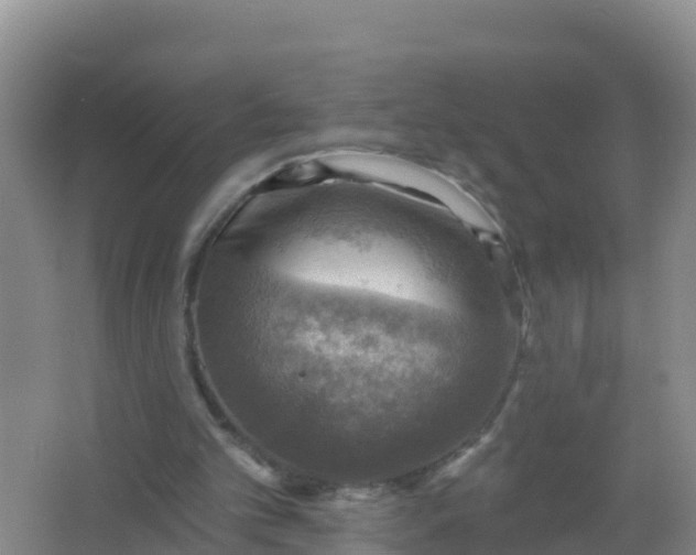 X0000066950101200604071949