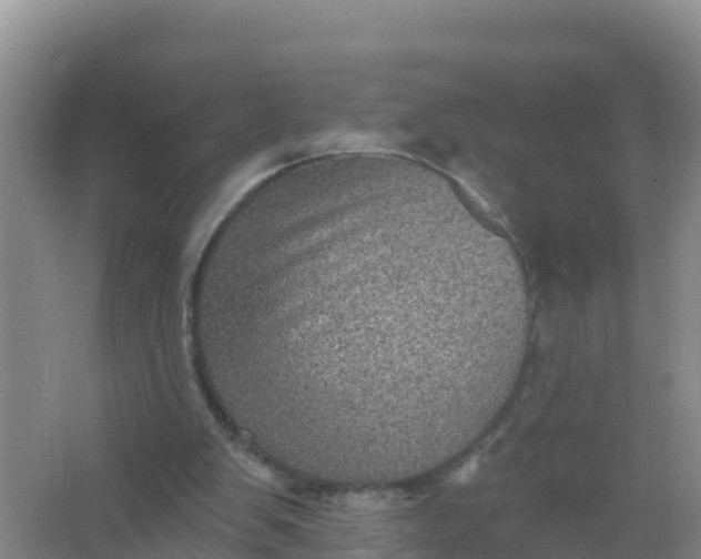 X0000066950103200604071949