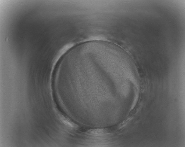 X0000066950104200604071949