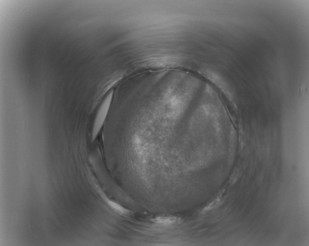 X0000066950105200604071949