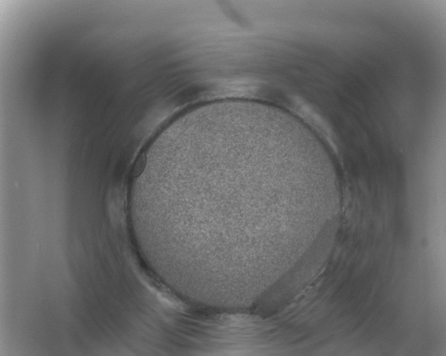 X0000066950107200604071949