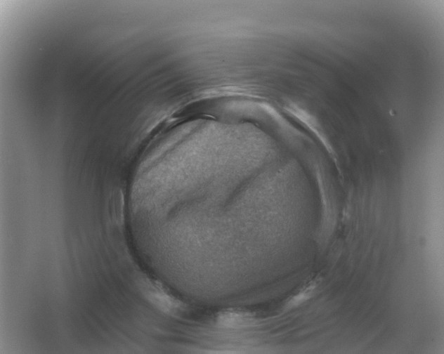 X0000066950109200604071948