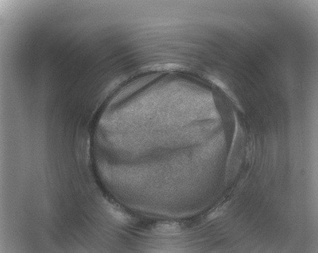 X0000066950110200604071948