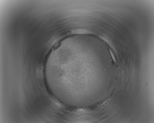 X0000066950111200604071948