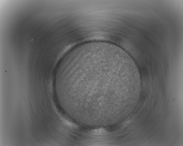 X0000066950112200604071948