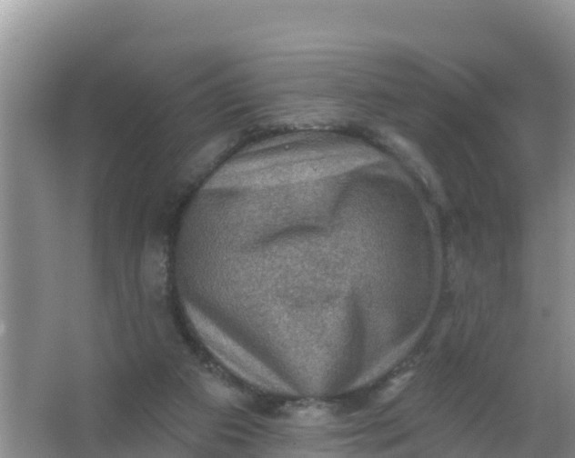 X0000066950113200604071948