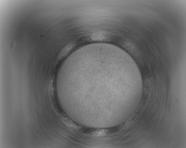 X0000066950116200604071948