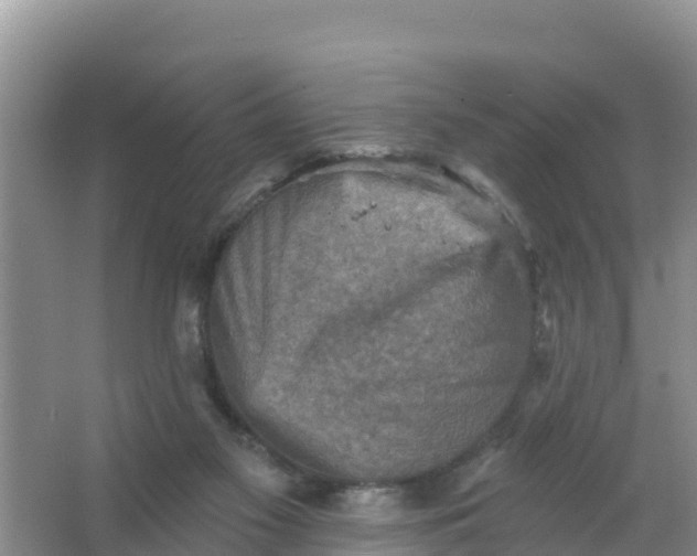 X0000066950117200604071948