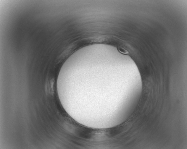 X0000066950118200604071948