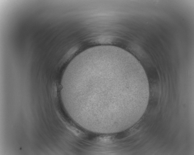 X0000066950120200604071948