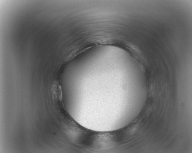 X0000066950121200604071948