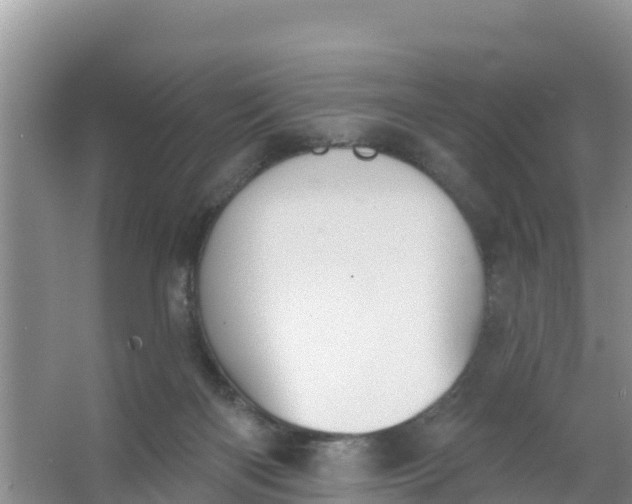 X0000066950122200604071948