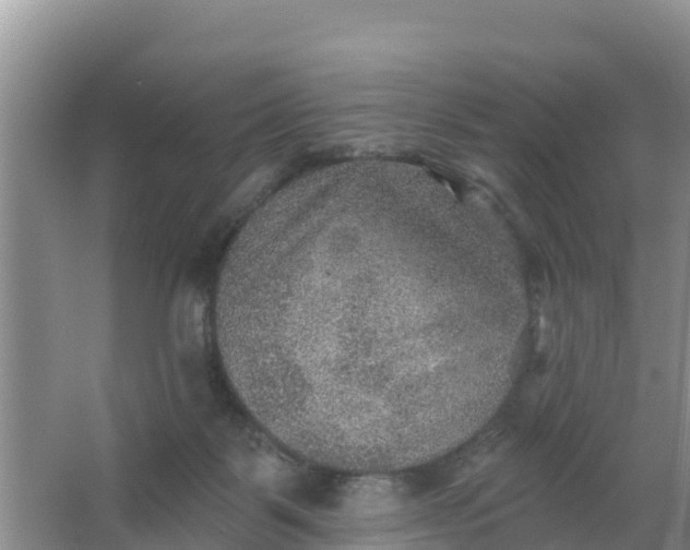 X0000066950123200604071948