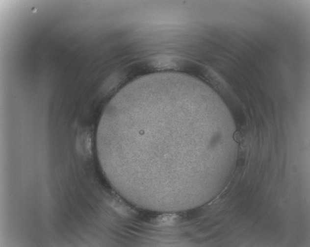 X0000066950124200604071948