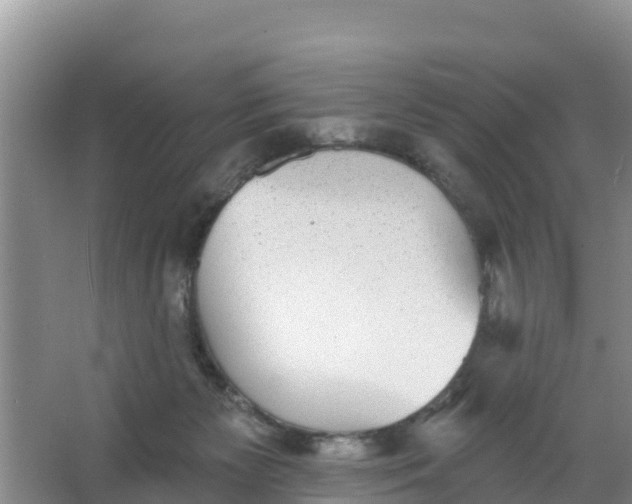 X0000066950125200604071948