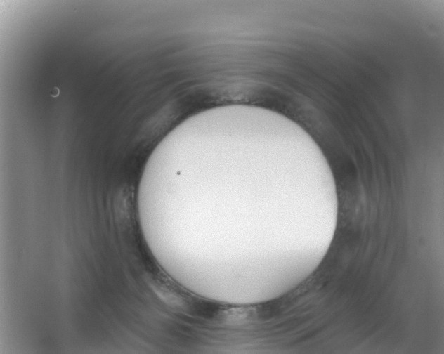 X0000066950126200604071948