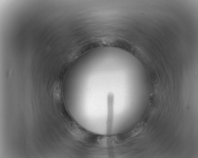 X0000066950129200604071948