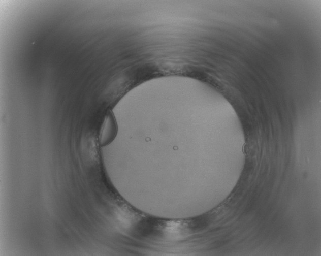 X0000066950130200604071948