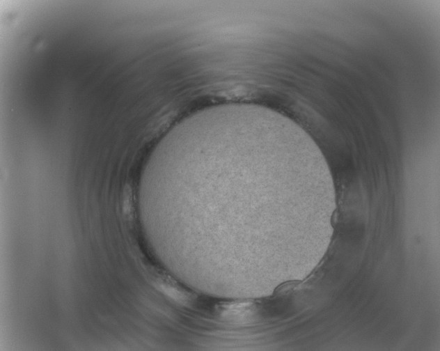 X0000066950132200604071948