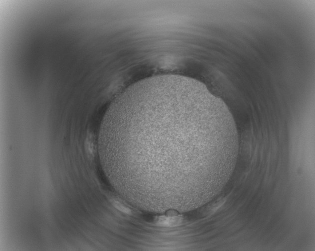 X0000066950135200604071948