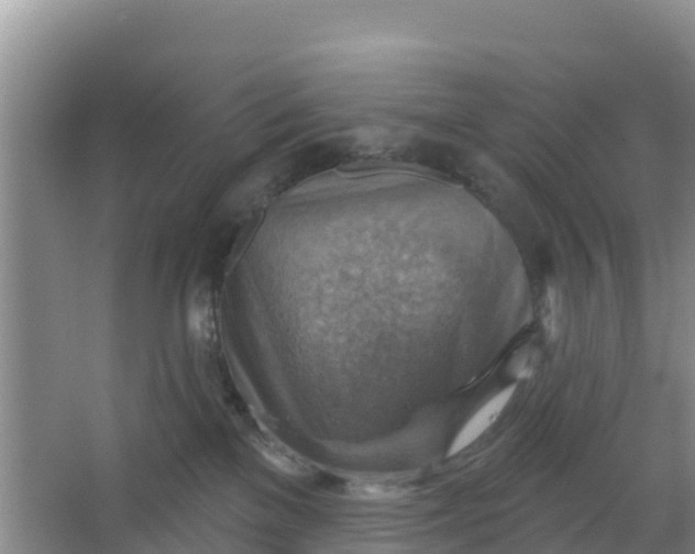 X0000066950137200604071948