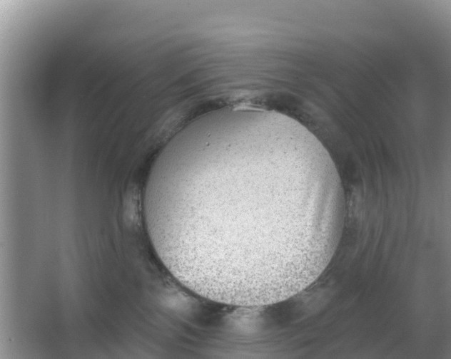 X0000066950138200604071948