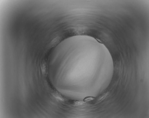 X0000066950139200604071948