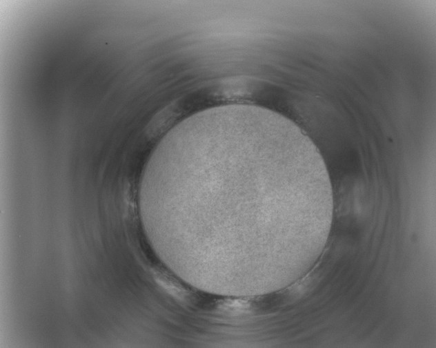 X0000066950140200604071948