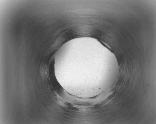 X0000066950141200604071948