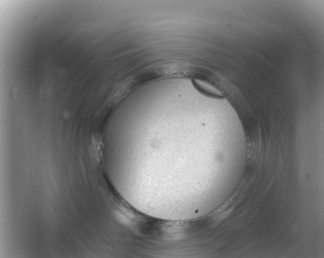 X0000066950142200604071948