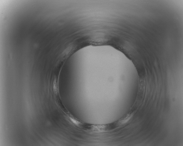 X0000066950143200604071948