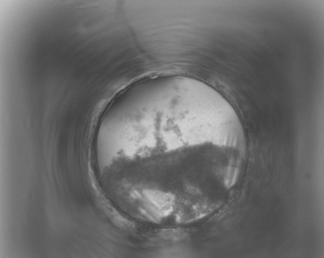 X0000066950145200604071947