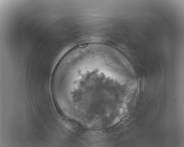 X0000066950147200604071947