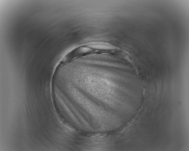 X0000066950148200604071947