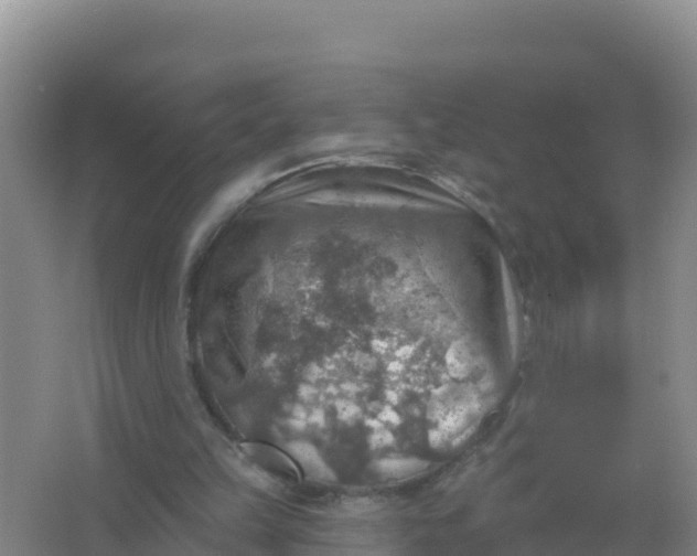 X0000066950149200604071947