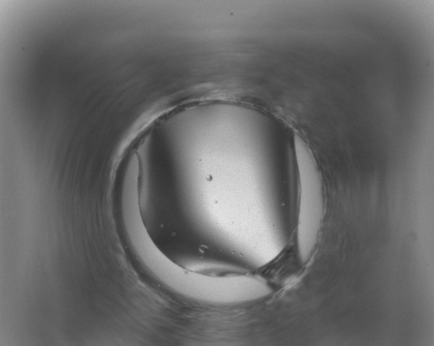 X0000066950150200604071947