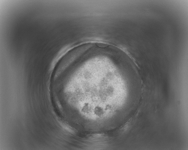 X0000066950151200604071947