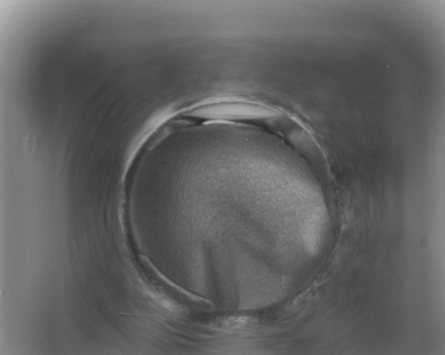 X0000066950152200604071947