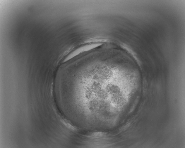 X0000066950153200604071947