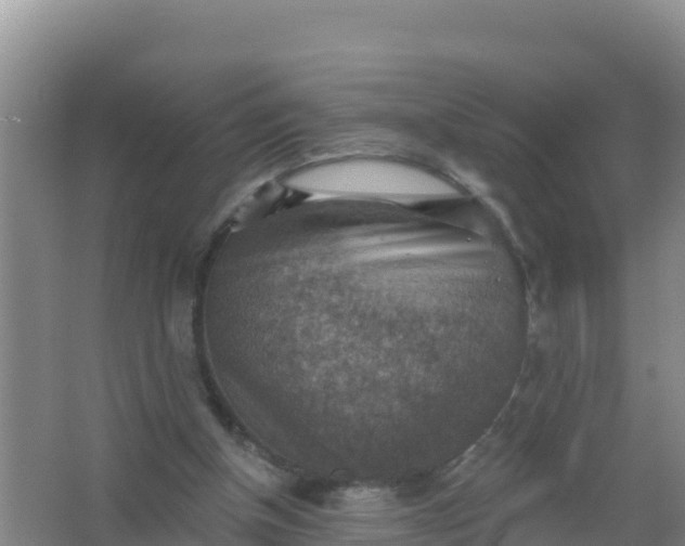 X0000066950154200604071947