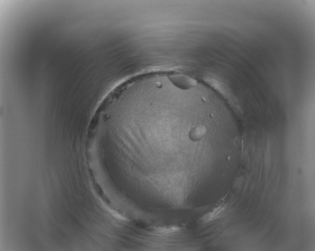 X0000066950156200604071947