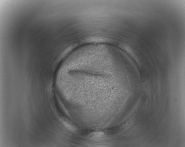 X0000066950159200604071947