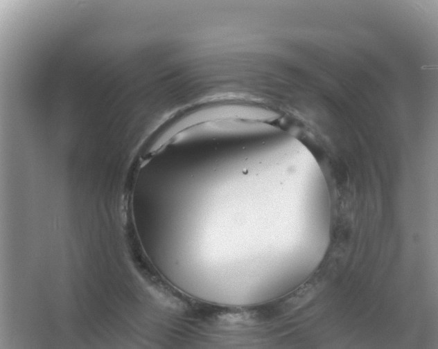 X0000066950160200604071947