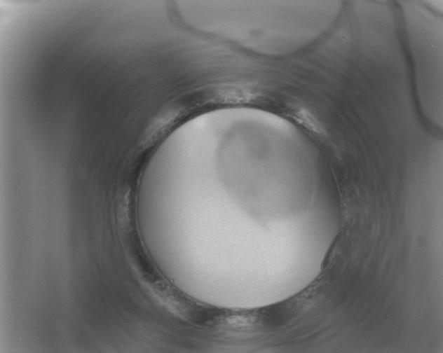 X0000066950163200604071947