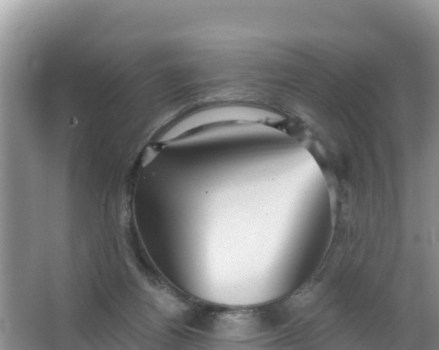 X0000066950164200604071947