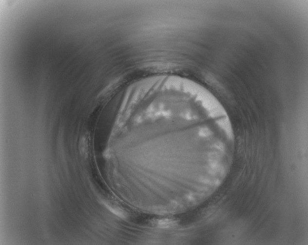 X0000066950165200604071947