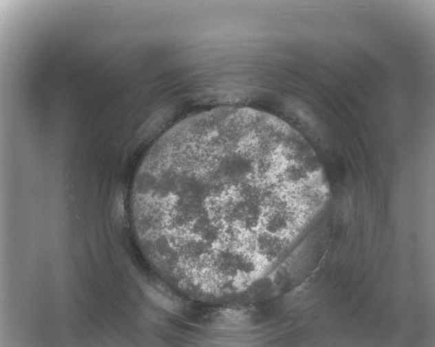 X0000066950166200604071947