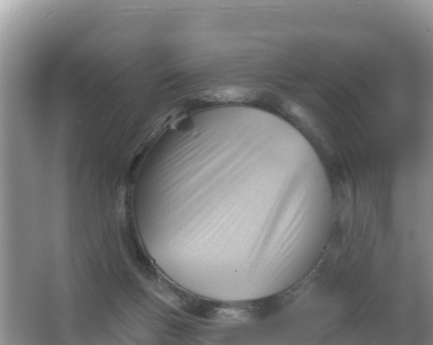 X0000066950167200604071947